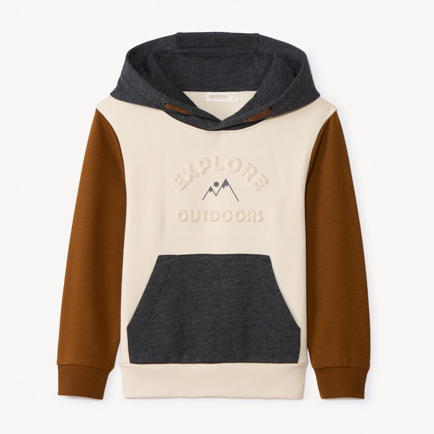 Sweat molleton à capuche effet colorblock pour garçon