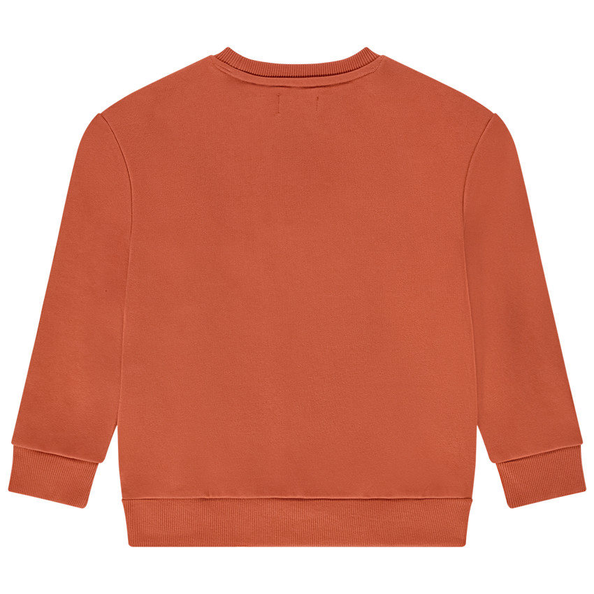 Sweat en molleton uni pour garçon 