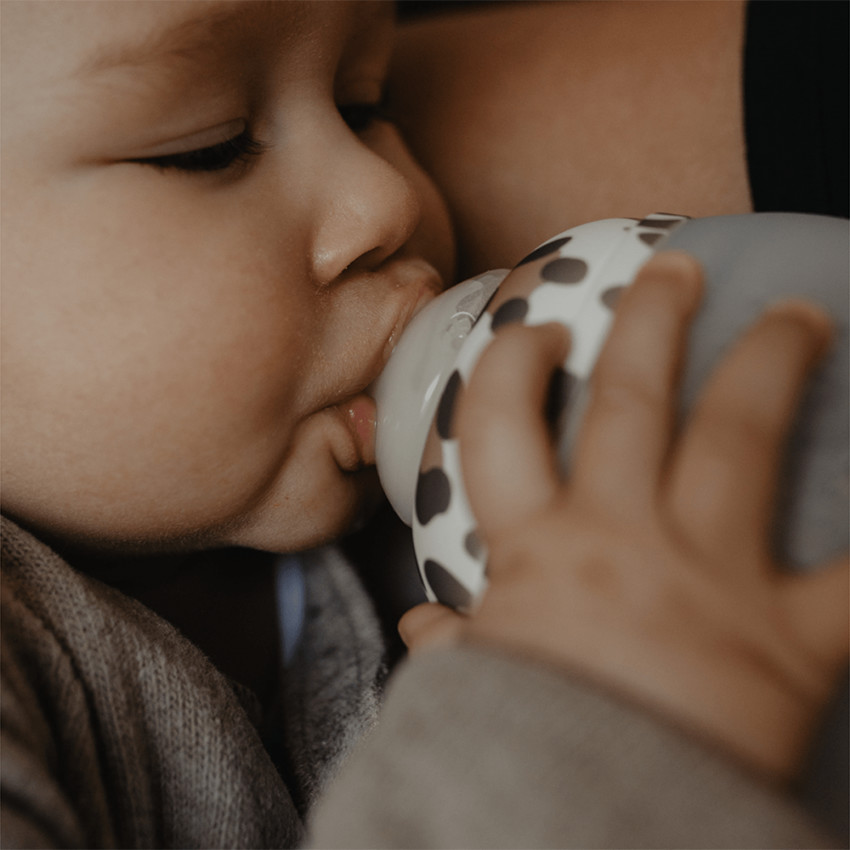 Biberon Petit Baby Bottle Graouuu à débit lent 150 ml  