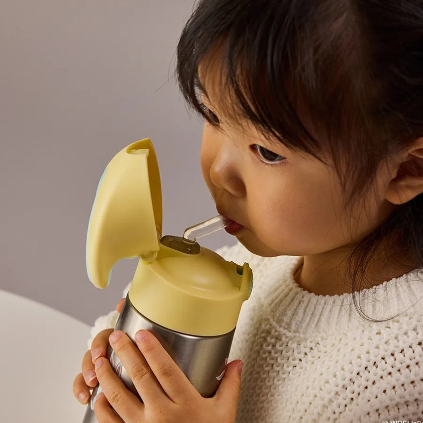 Gourde isotherme avec paille 350ml Looney Tunes 