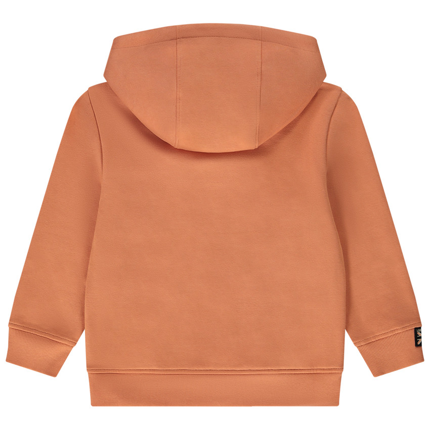 Sweat à capuche avec zip pour garçon 
