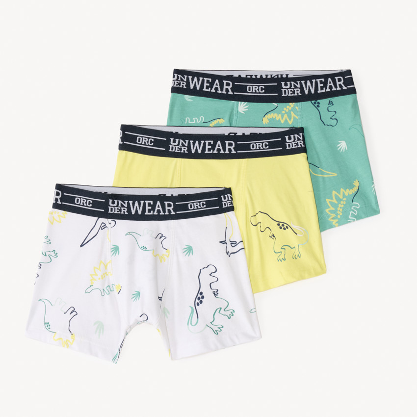 Lot de 3 boxers fantasie motifs dinosaure pour garçon 
