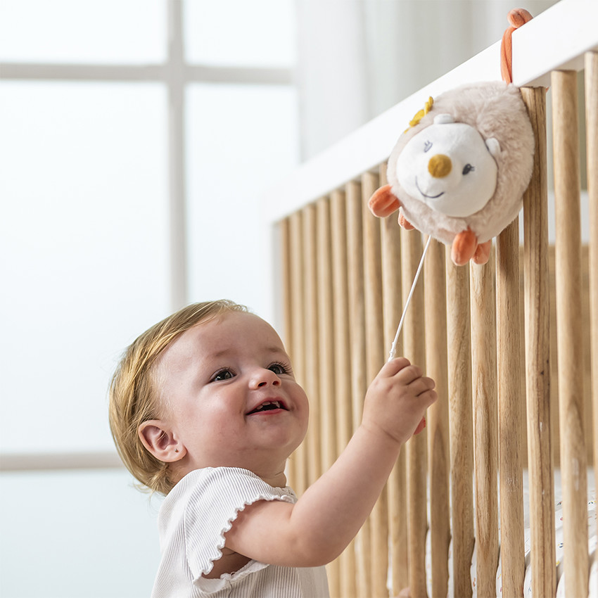 Mini peluche d'activité musical hérisson Mila Lana et Zoé  