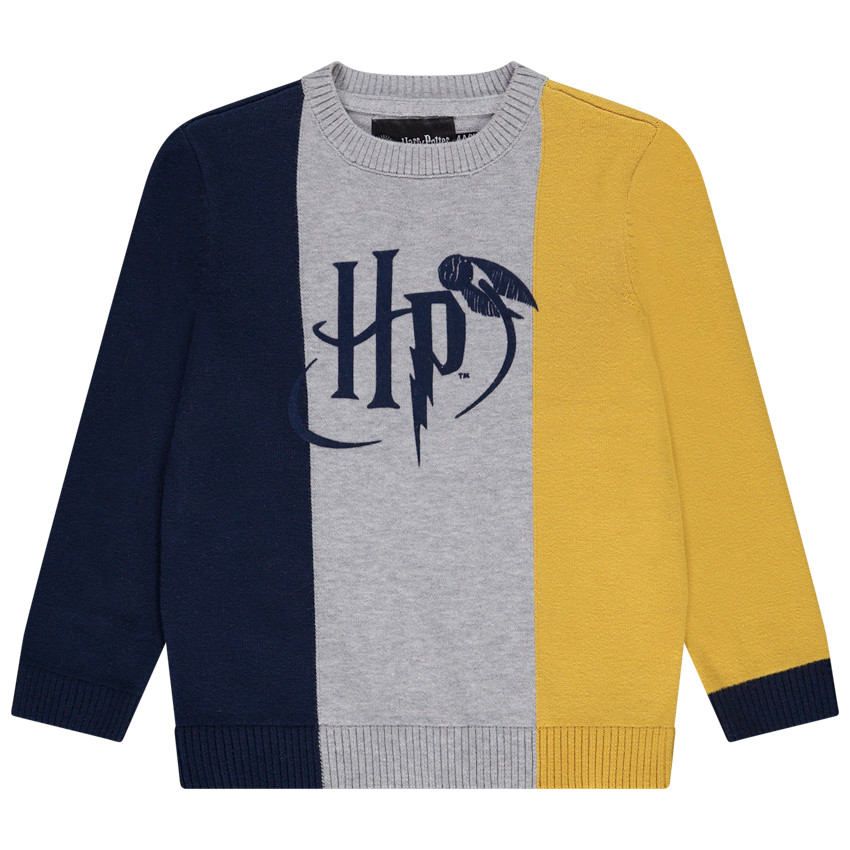 Pull en tricot effet color block avec print Harry Potter pour garçon Main Pull en tricot effet color block avec print Harry Potter pour garçon