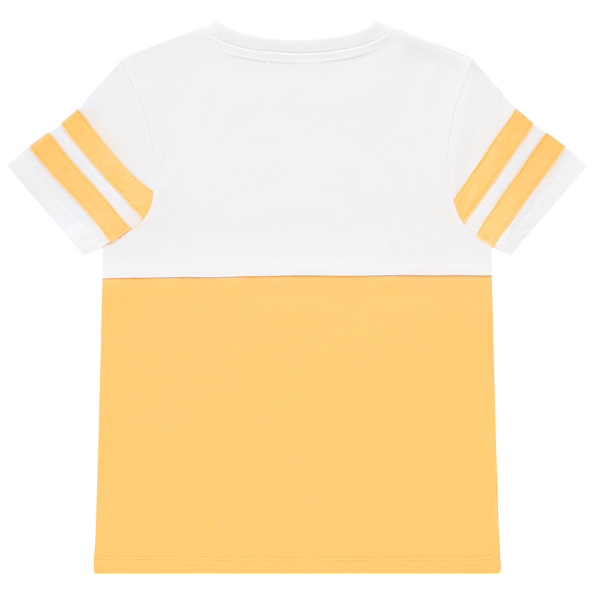 T-shirt en coton color block print Le roi lion pour garçon 