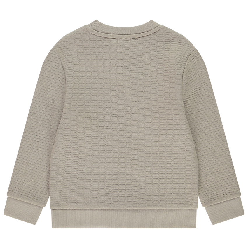Sweat en molleton texturé print fantaisie pour garçon  