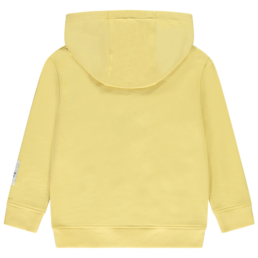 Sweat à capuche en molleton fantaisie pour garçon  