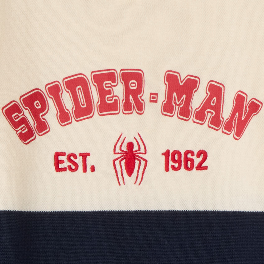 Pull bicolore Spider-Man Marvel pour garçon 