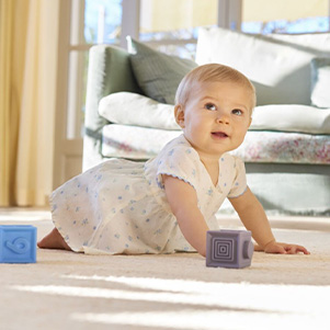 Blueberries 0-12 mois